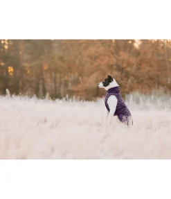 Sale Manteau avec doublure en polaire Teddy pour chien Archie, 160 g Manteaux D'Hiver Avec Garnissage, À Partir De 50G