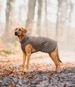 New Manteau avec doublure en polaire Teddy pour chien Archie, 160 g Manteaux D'Hiver Avec Garnissage, À Partir De 50G