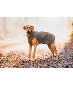 New Manteau avec doublure en polaire Teddy pour chien Archie, 160 g Manteaux D'Hiver Avec Garnissage, À Partir De 50G
