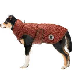 Discount Manteau avec doublure en polaire Teddy pour chien Archie, 160 g Manteaux D'Hiver Avec Garnissage, À Partir De 50G