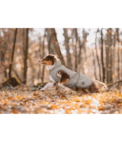 Hot Manteau avec doublure en polaire Teddy pour chien Archie, 160 g Manteaux D'Hiver Avec Garnissage, À Partir De 50G