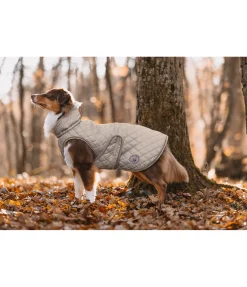 Hot Manteau avec doublure en polaire Teddy pour chien Archie, 160 g Manteaux D'Hiver Avec Garnissage, À Partir De 50G