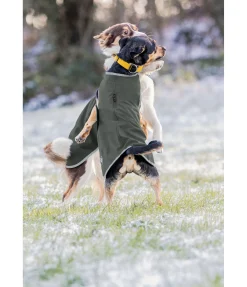 Online Manteau de randonnée softshell pour chien Athlete, 0 g Manteaux De Pluie Sans Garnissage, 0G