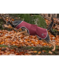 Sale Manteau de randonnée softshell pour chien Athlete, 0 g Manteaux De Pluie Sans Garnissage, 0G