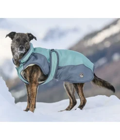 New Manteau d'hiver pour chien avec doublure en polaire Teddy, 100 g Glacier Bay Manteaux D'Hiver Avec Garnissage, À Partir De 50G