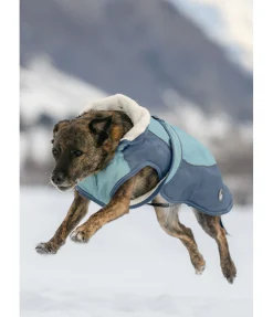 New Manteau d'hiver pour chien avec doublure en polaire Teddy, 100 g Glacier Bay Manteaux D'Hiver Avec Garnissage, À Partir De 50G
