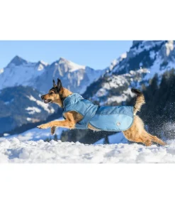 Best Manteau d'hiver pour chien avec doublure en polaire Teddy, 100 g Glacier Bay Manteaux D'Hiver Avec Garnissage, À Partir De 50G