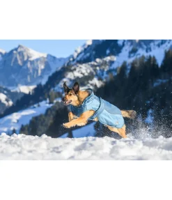 Best Manteau d'hiver pour chien avec doublure en polaire Teddy, 100 g Glacier Bay Manteaux D'Hiver Avec Garnissage, À Partir De 50G