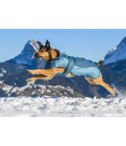 Best Manteau d'hiver pour chien avec doublure en polaire Teddy, 100 g Glacier Bay Manteaux D'Hiver Avec Garnissage, À Partir De 50G