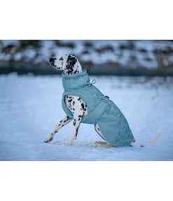 New Manteau d'hiver pour chien Wonderland, 140 g Manteaux D'Hiver Avec Garnissage, À Partir De 50G