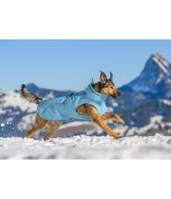 New Manteau d'hiver pour chien Wonderland, 140 g Manteaux D'Hiver Avec Garnissage, À Partir De 50G
