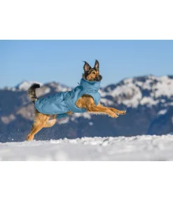 New Manteau d'hiver pour chien Wonderland, 140 g Manteaux D'Hiver Avec Garnissage, À Partir De 50G