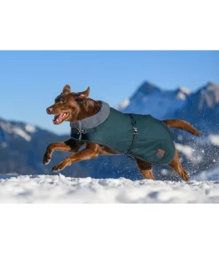 Outlet Manteau d'hiver pour chien avec doublure en fourrure Teddy Gizmo, 200 g Manteaux D'Hiver Avec Garnissage, À Partir De 50G