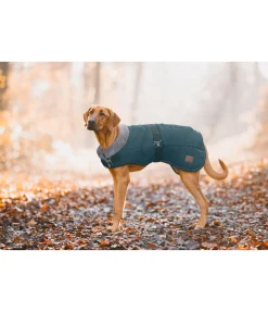 Outlet Manteau d'hiver pour chien avec doublure en fourrure Teddy Gizmo, 200 g Manteaux D'Hiver Avec Garnissage, À Partir De 50G