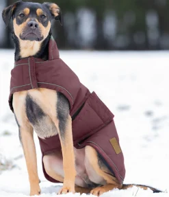 Hot Manteau d'hiver pour chien Beaver Creek, 400 g Manteaux D'Hiver Avec Garnissage, À Partir De 50G