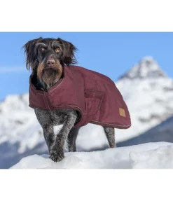 Hot Manteau d'hiver pour chien Beaver Creek, 400 g Manteaux D'Hiver Avec Garnissage, À Partir De 50G