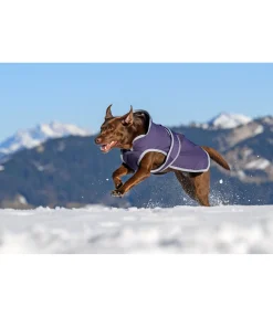 Sale Manteau pour chien avec doublure polaire Eddie 200 g Manteaux D'Hiver Avec Garnissage, À Partir De 50G