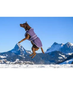 Sale Manteau pour chien avec doublure polaire Eddie 200 g Manteaux D'Hiver Avec Garnissage, À Partir De 50G