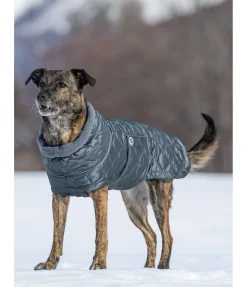 Clearance Manteau pour chien matelassé avec doublure polaire Cliff, 200 g Manteaux D'Hiver Avec Garnissage, À Partir De 50G