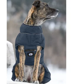 Best Manteau pour chien matelassé avec LED Arlo, 300 g Manteaux D'Hiver Avec Garnissage, À Partir De 50G