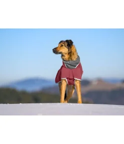 Hot Manteau pour chien softshell avec col polaire Frida Manteaux De Pluie Sans Garnissage, 0G