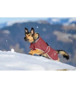 Hot Manteau pour chien softshell avec col polaire Frida Manteaux De Pluie Sans Garnissage, 0G