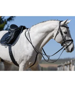 New Martingale à anneaux Colliers De Chasse & Martingales