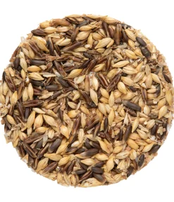 Outlet Mash BASIC Mash