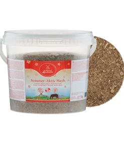 Hot Mash Été actif Mash