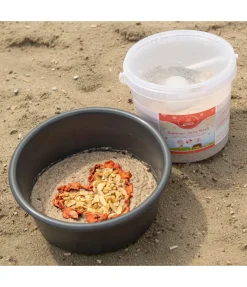 Hot Mash Été actif Mash