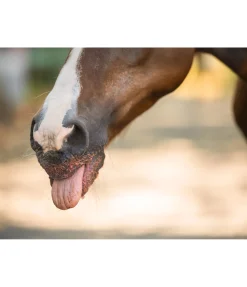 Online Mash aux fruits Pomme Harvest Mash