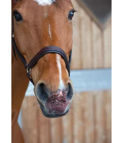 Online Mash aux fruits Pomme Harvest Mash