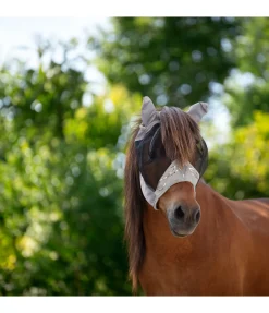 Best Masque anti-mouches Fanney Masques & Émouchettes