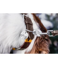 Sale Médaille Travel Buddy Accessoires Pour Chien|Laisses Pour Chien