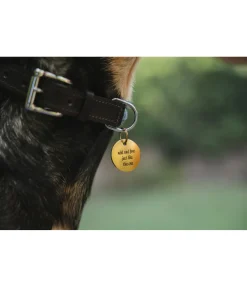 Hot Médaille Travel Buddy Accessoires Pour Chien|Laisses Pour Chien