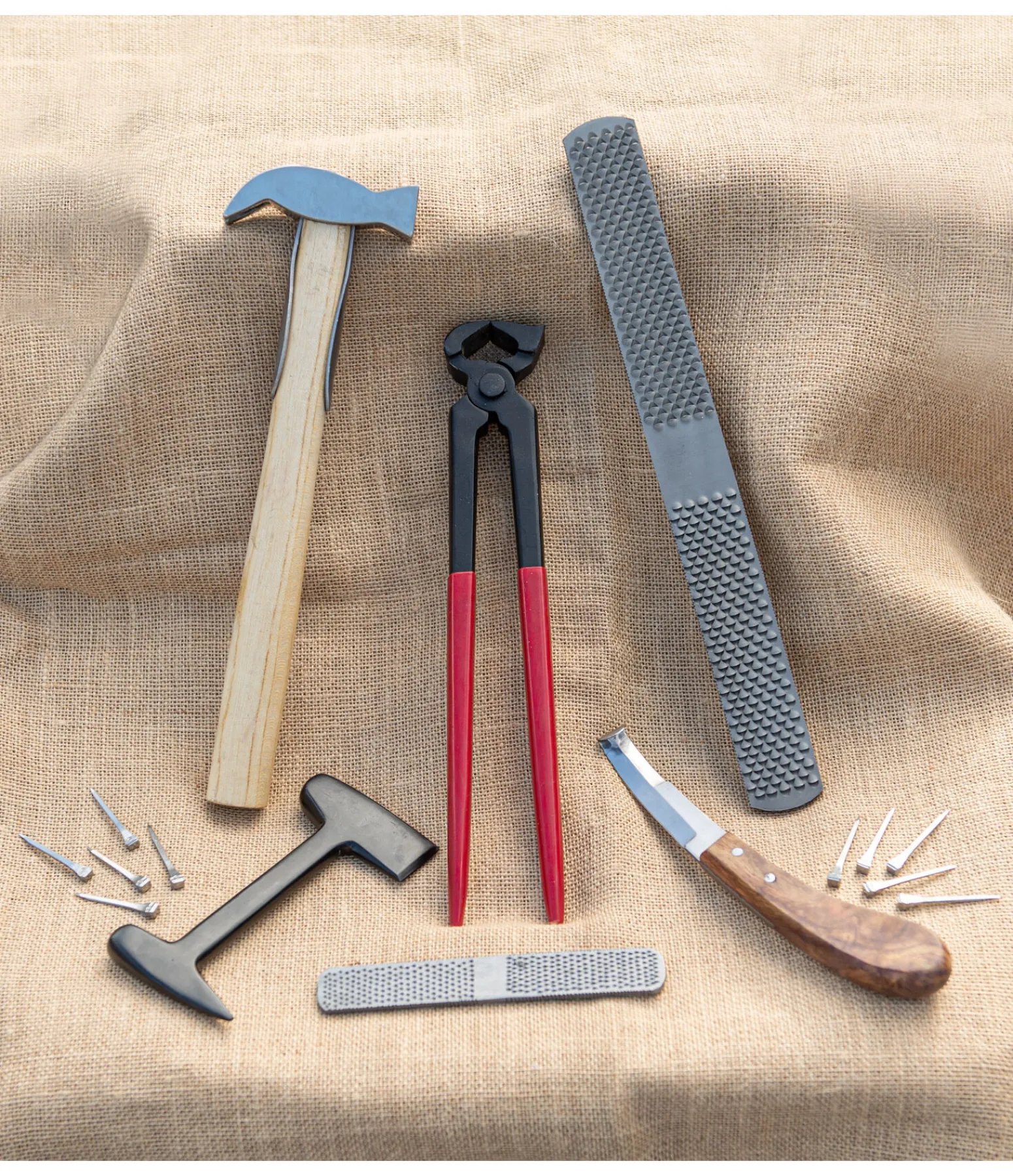 Online Mini râpe Maréchalerie & Crampons