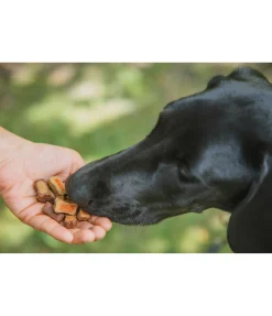 Discount Mélange de friandises colorées pour chien Articles À Mâcher & Friandises Pour Chien