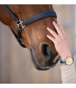 Best Montre Classic Femme Bijoux & Montres