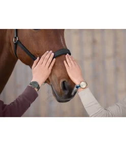 Clearance Montre Shiny Femme Bijoux & Montres