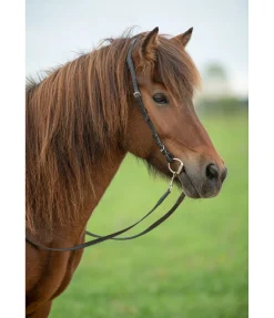 Online Mors à olives pour islandais LOCK-UP Mors Double Brisure