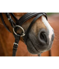 Clearance Mors de filet pour bride Mors Simple Brisure|Mors De Bride, Pelham & Accessoires