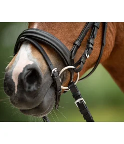 Clearance Mors de filet pour bride Mors Simple Brisure|Mors De Bride, Pelham & Accessoires