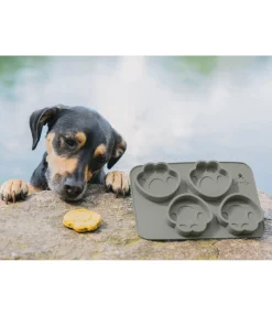 Best Moule à gâteau pour chien en silicone Gamelles & Accessoires De Voyage Pour Chien