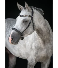 New Muserolle en cuir gras sans mors Mix & Match Bridons Sans Embouchures|Bridons Mix & Match Pro