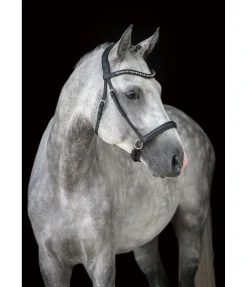 New Muserolle en cuir gras sans mors Mix & Match Bridons Sans Embouchures|Bridons Mix & Match Pro