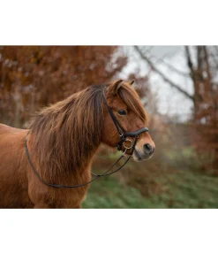 Clearance Muserolle française combinée Hildur Muserolle Française & Combinée