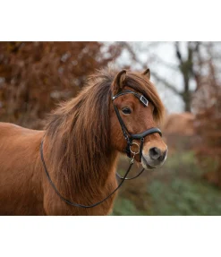 Clearance Muserolle française combinée Hildur Muserolle Française & Combinée