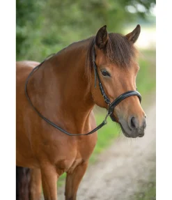 Best Muserolle sidepull Bridons Sans Embouchures