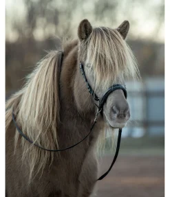 Best Muserolle sidepull Bridons Sans Embouchures