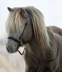 Best Muserolle sidepull Bridons Sans Embouchures